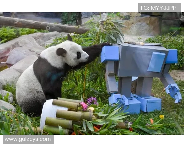 熊猫体育助力国际友谊构建中外体育文化交流新桥梁